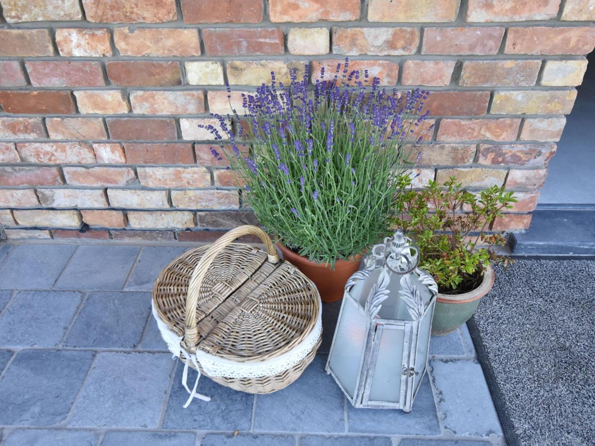 Tasteful Holiday Home In Sijsele Brugge With Garden Veldhoek Экстерьер фото